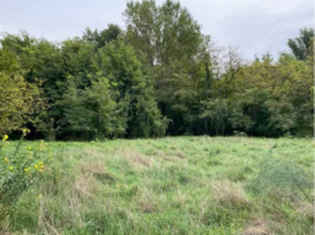 Immobile in asta di 49900 m² in vendita a Mantova - Foto 10