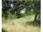 Immobile in asta di 636 m² in vendita a Siderno