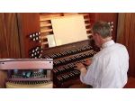 Organista