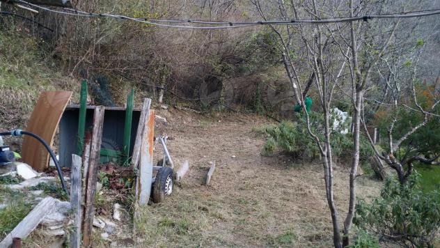 Alassio, terreno di circa 6.000 mq. con progetto per costruire una villa. - Foto 14