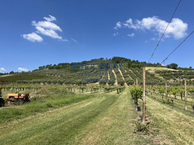 FONDO AGRICOLO CANOVA - BRISIGHELLA VIA FAENTINA VICINO AL CIVICO 95 - Foto 5