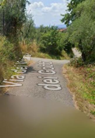 Immobile in asta di 15797 m² in vendita a Monsummano Terme - Foto 3