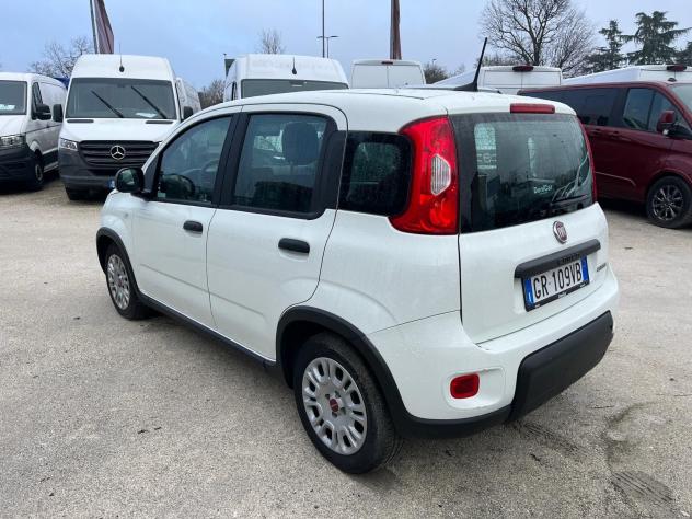 FIAT Panda Panda 1.0 FireFly S&S Hybrid - Foto 7