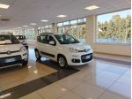 FIAT Panda 3ª serie Panda 1.3 MJT 95 CV S&S Lounge