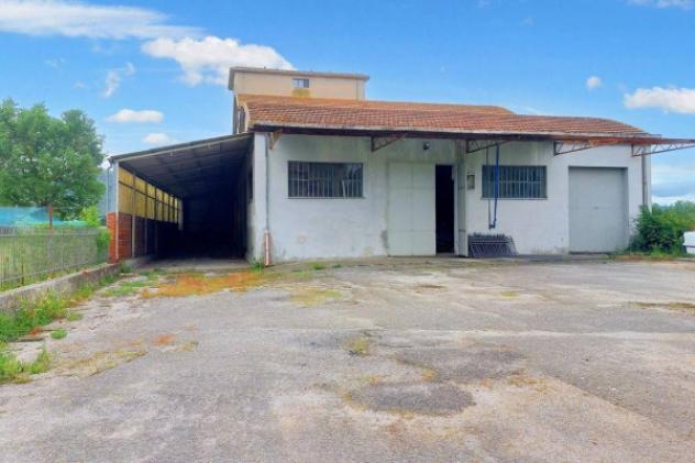 Immobile in asta di 20328 m² in vendita a Castiglione del Lago - Foto 17