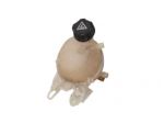 Vaschetta Liquido Radiatore Citroen C3 2012 9652621280 9680163780 - 12109