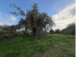 Terreno in vendita a Belpasso