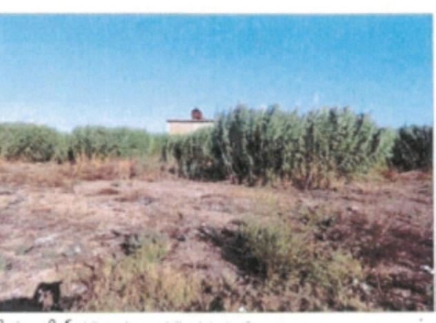 Immobile in asta di 31629 m² in vendita a Elmas - Foto 12