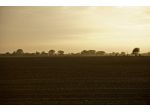 TERRENO AGRICOLO di 950 mq (FONTE) rif. AG40E_11