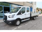 Ford Transit 350 2.0TDCi EcoBlue 170CV PL-DC Cab.Trend