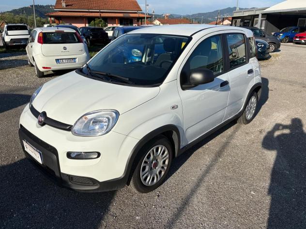 FIAT Panda 1.0 FireFly S&S Hybrid - Foto 3