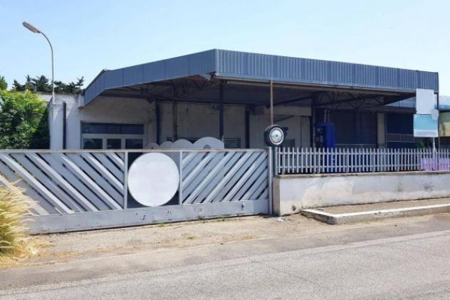 Immobile in asta di 900 m² in vendita a Tarquinia - Foto 5
