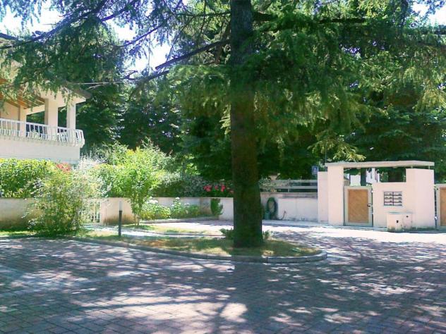 APPARTAMENTO INDIPENDENTE di 3 vani e di 100 mq (CAMAIORE) rif. 2001 - Foto 3