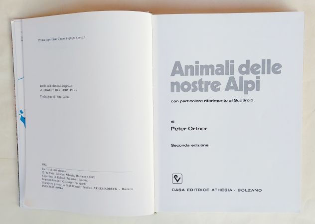 Animali delle nostre Alpi di Peter Ortner 2°Ed.Athesia  Bolzano, gennaio 2007 - Foto 4