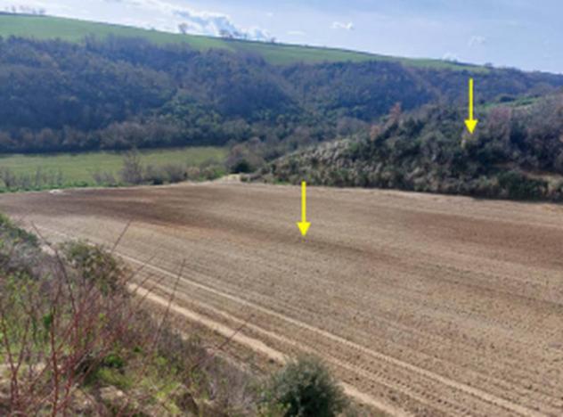 Immobile in asta di 43400 m² in vendita a Altomonte - Foto 4