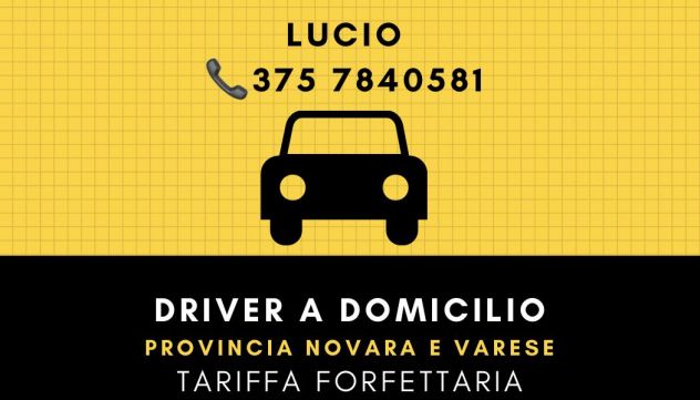 DRIVER A DOMICILIO