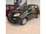 FIAT Panda 1.0 FireFly S&S Hybrid Pandina rif. 22661599