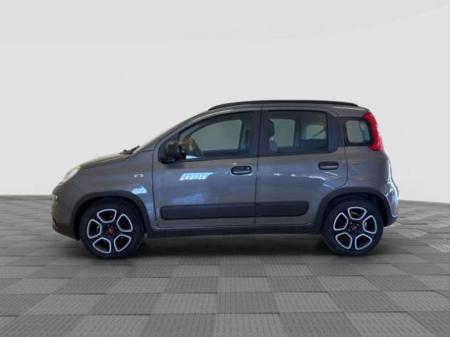 FIAT Panda Panda 1.0 FireFly Hybrid City Life rif. 23697082 - Foto 2