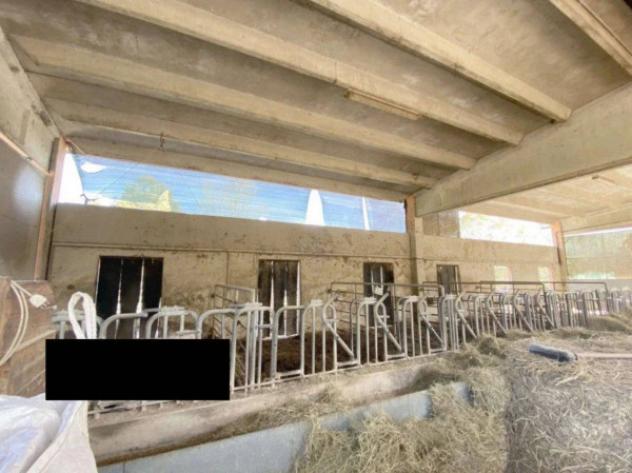 Immobile in asta di 131 m² in vendita a Pergola - Foto 15