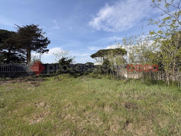 Terreno Agricolo - Terracina . Rif.: Cod. rif 3308552VRG - Foto 8