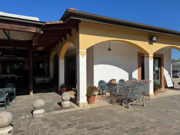 Immobile in asta di 43136 m² in vendita a Castelnuovo Cilento - Foto 9