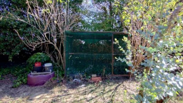 Immobile in asta di 4002 m² in vendita a Colli al Metauro - Foto 4