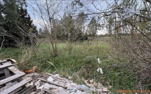 Immobile in asta di 79900 m² in vendita a Feroleto Antico - Foto 4