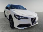 Alfa Romeo Stelvio Stelvio 2.2 Turbodiesel 160 CV AT8 RWD Competizione