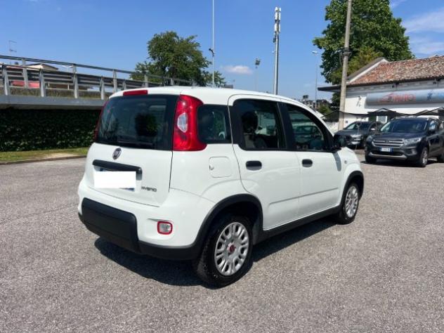 FIAT Panda 1.0 FireFly S&S Hybrid 70CV UNICO PROPRIETARIO rif. 23675530 - Foto 8