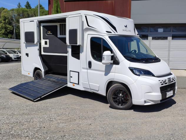 FIAT Ducato Ducato 35 2.2 Mjt 180CV 5 posti AUTOMATICO 30 Q Traino HARAS - Foto 2