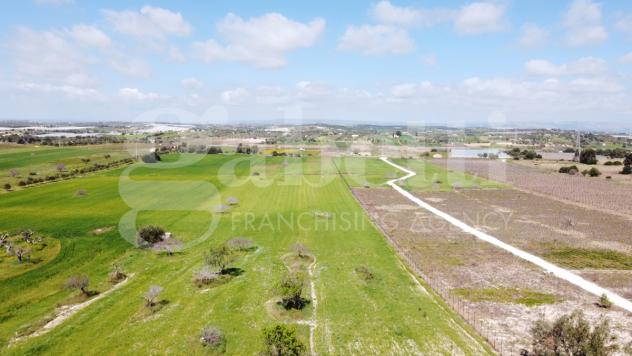 Terreno Agricolo - Noto . Rif.: cod. rif6042943VRG - Foto 6