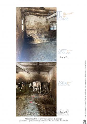 IMMOBILI-IMMOBILE RESIDENZIALE-Via Volto, 3, 46036 Pieve di Coriano MN, Italia - Foto 7