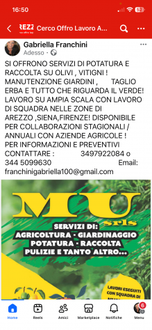 Servizi di agricoltura e giardinaggio - Foto 2