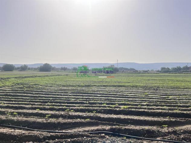 TERRENO AGRICOLO - Foto 2