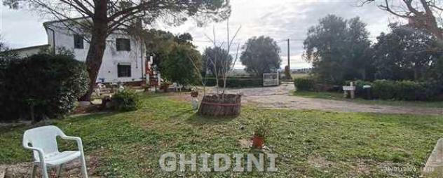 CASALE di 10 vani e di 265 mq (GROSSETO - CENTRO) rif. 2535.27M - Foto 2