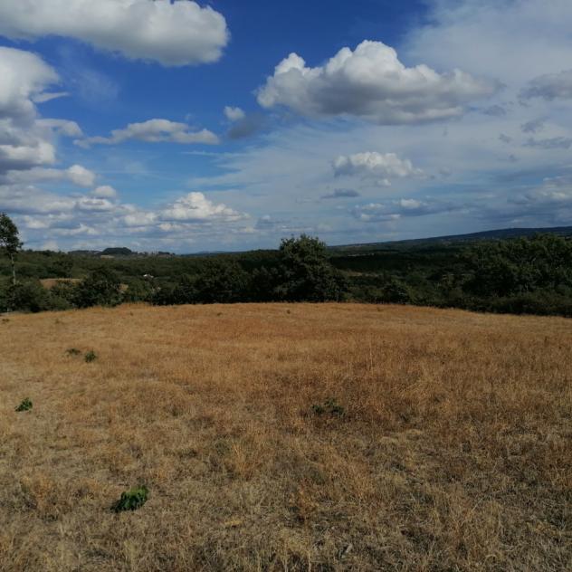 Nella Frazione dell'Elmo nel comune di Sorano, dove sono presenti i servizi di prima necessità, a 10 km da Sorano e relative terme, 11 km da Pitiglian - Foto 4