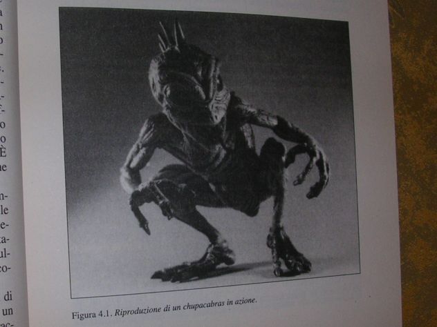 CRONACHE DEL MISTERO - Foto 4
