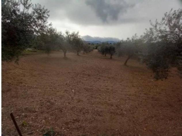 Immobile in asta di 51987 m² in vendita a Chiaramonte Gulfi - Foto 2