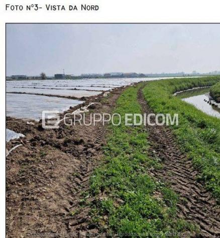 Terreno in vendita a Chioggia - Rif. 4548875 - Foto 2