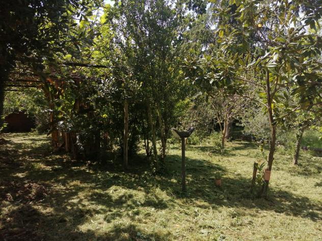 Casa Indipendente - Sezze . Rif.: Cod. rif 3150986VRG - Foto 3