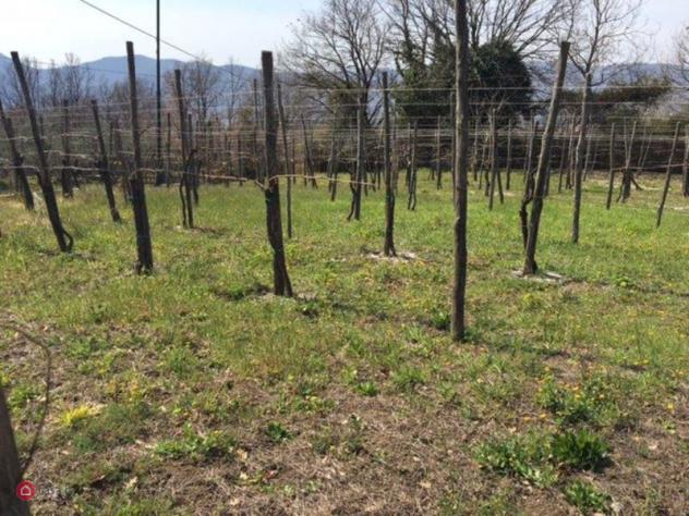 Terreno agricolo di 1300mq in Via provinciale a Manocalzati - Foto 2