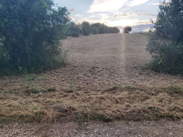 Terreno agricolo Velletri (RM) - Foto 7