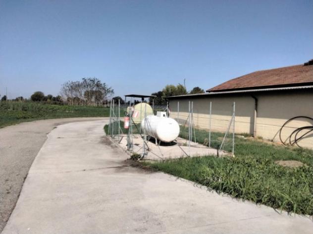 Immobile in asta di 2930 m² in vendita a Fabbrico - Foto 6