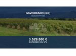 Immobile in asta di 20000 m² in vendita a Gavorrano