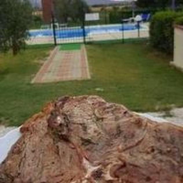Casa Vacanze Valdamone - Foto 2