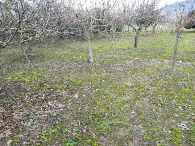 Terreno agricolo in vendita a San Frediano a Settimo - Cascina 4000 mq Rif: 887561 - Foto 6