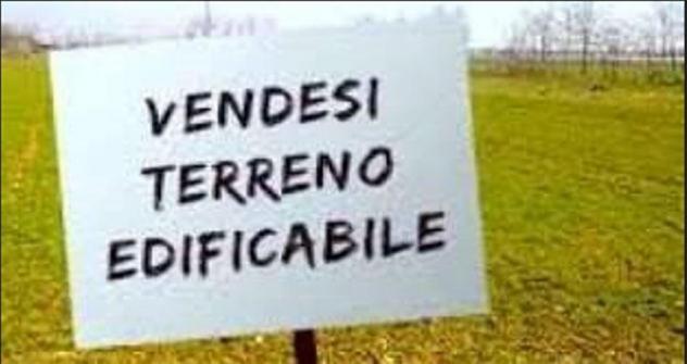 Terreno edif. residenziale in vendita a Luni 2000 mq Rif: 1393181
