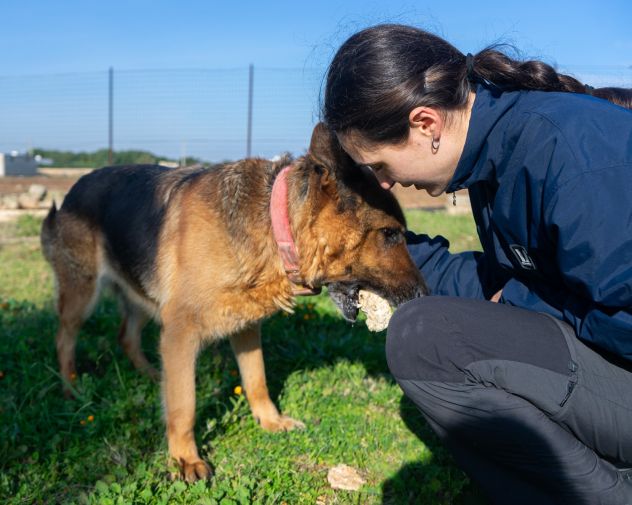 LAIKA, MERAVIGLIA FATTA CANE - Foto 5