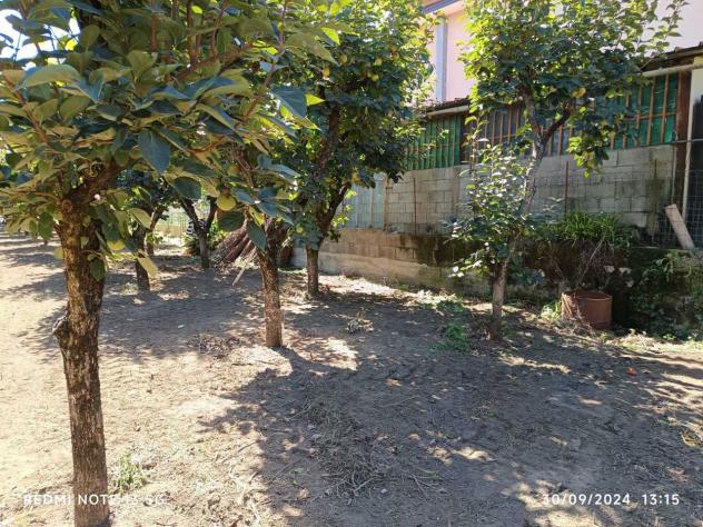 Frutteto in vendita a Nocera Inferiore - Foto 5