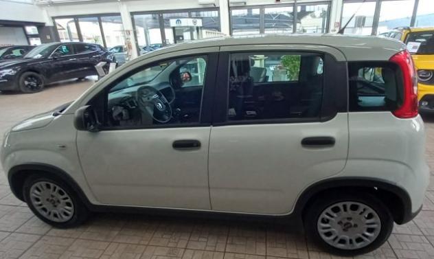FIAT Panda 1.0 FireFly S&S Hybrid rif. 23349384 - Foto 3
